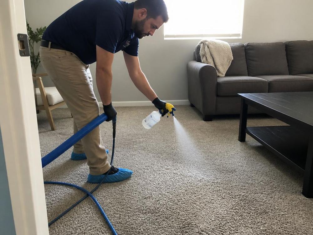 Technicien NUVIO traitant une moquette